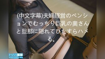 (中文字幕)夫婦経営のペンションでむっちり巨乳の奥さんと旦那に隠れてひたすらハメる。