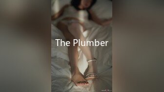 The Plumber