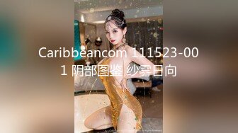 Caribbeancom 111523-001 阴部图鉴 纱雾日向