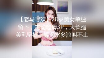 【老马寻欢】28岁美女单独留下，主动邀请3P，大长腿美乳坚挺，骚逼水多浪叫不止