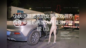 小伙迷翻漂亮的女同事双洞齐插被操醒后再加大药量强行继续 (1)