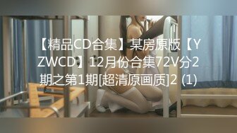 【精品CD合集】某房原版【YZWCD】12月份合集72V分2期之第1期[超清原画质]2 (1)